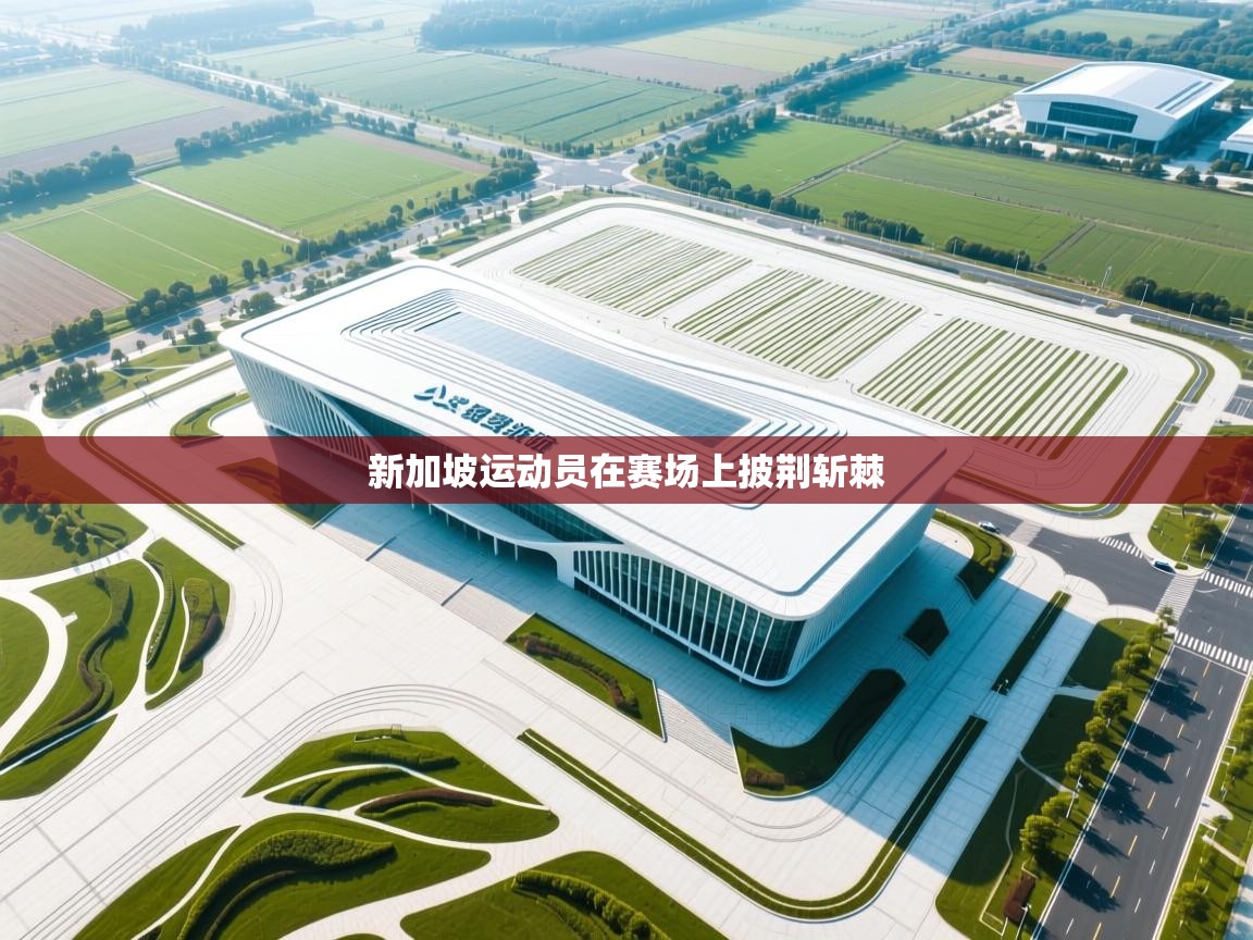 新加坡运动员在赛场上披荆斩棘 第1张